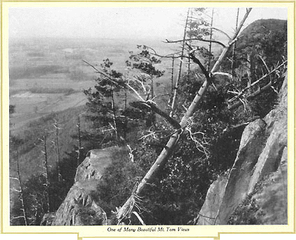 One of Many Beautiful Mt. Tom Views