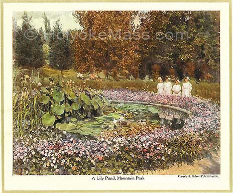 A Lily Pond, Mt. Park
