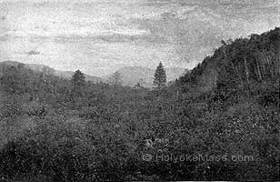 Mount Holyoke, From the Park