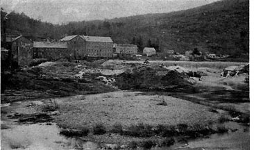 View of the Mill and Salmon Falls.