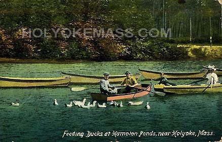 Feeding Ducks at Hampton Ponds