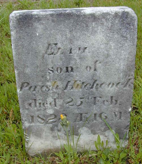 Tombstone of Elam Hitchcock, Holyoke, MA