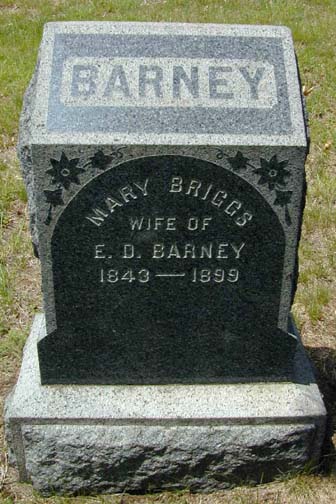 Barney - Briggs