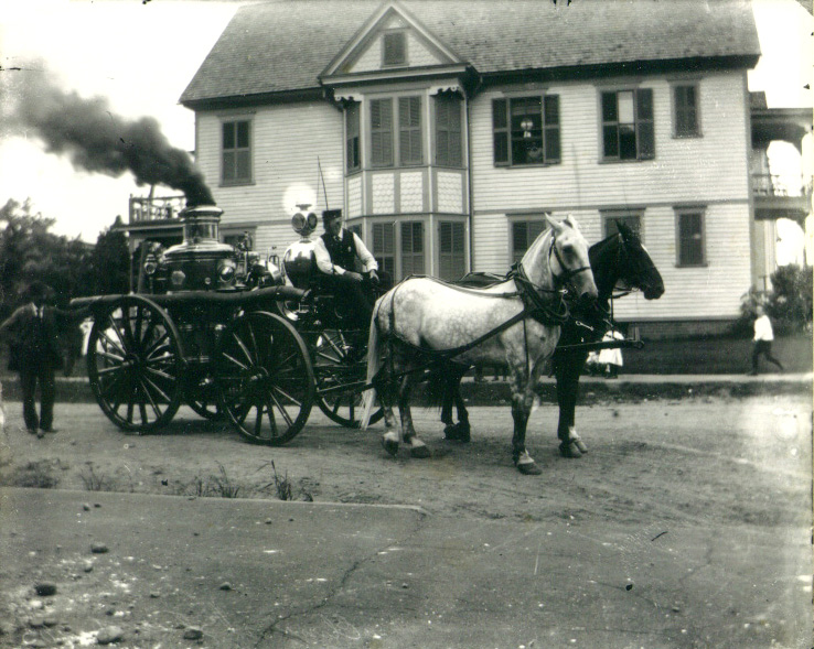 Station #5's fire horse